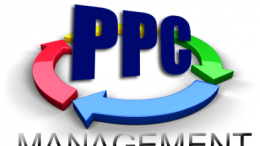 PPC Management Company in India