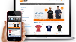 ECommerce Website Developers