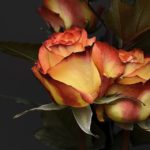flower home delivery in Jaipur