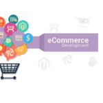 Custom Ecommerce Development
