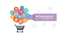 Custom Ecommerce Development