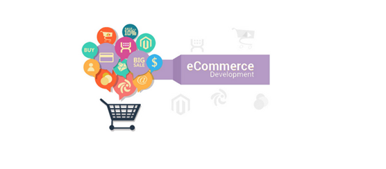 Custom Ecommerce Development