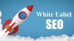 Significance of White Label SEO & why it is required