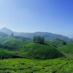 Visit God’s Own Country This Summer: Kerala Tour Packages