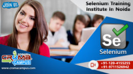 selenium training in noida