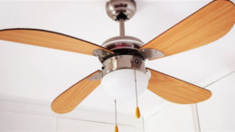 Buy Ceiling Fan Online