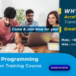 A Beginner's Guide to Selenium Training