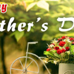 Best Flowers For Dad