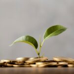 Manage Your Money