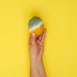 Prevent Molds and Mildew
