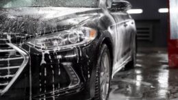 Car Detailing Business