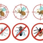Household Pests